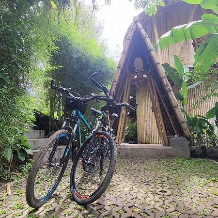 Вилла The Nude House Selat Экстерьер фото